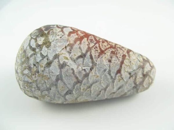Beautiful Red Cobra Pearl - Type D3 (Female) Large