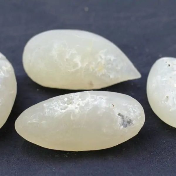 Crocodile Pearls - Type A1