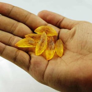 Golden Lizard Pearl - Type C1