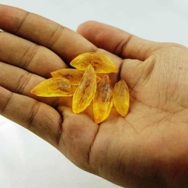 Golden Lizard Pearl - Type C1
