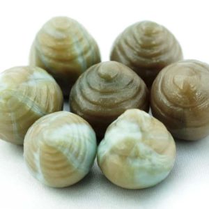 Komodo Lizard Crown Pearls - Type A
