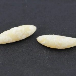 White Biawak Lizard Pearls - Type A4