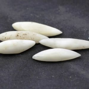 White Biawak Lizard Pearls - Type A1