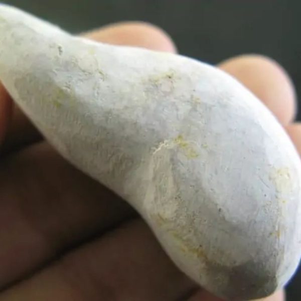 Lizard Pearl - Type N3 - Image 3