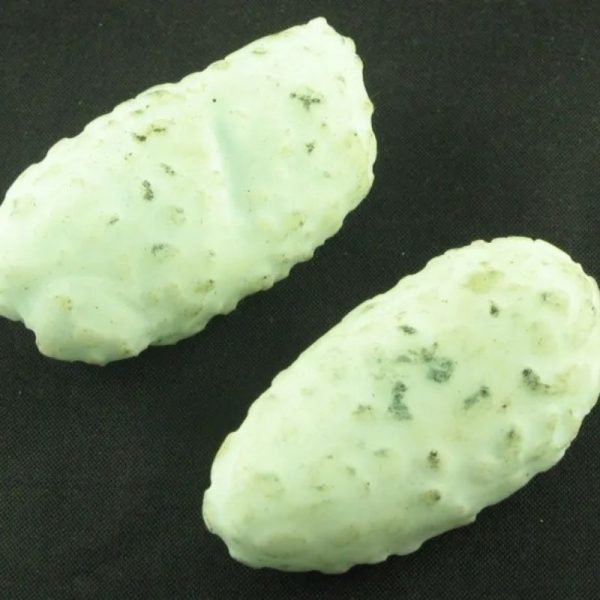 Crocodile Pearl - Type P (White Crocodile)