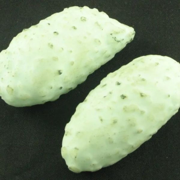 Crocodile Pearl - Type P (White Crocodile)