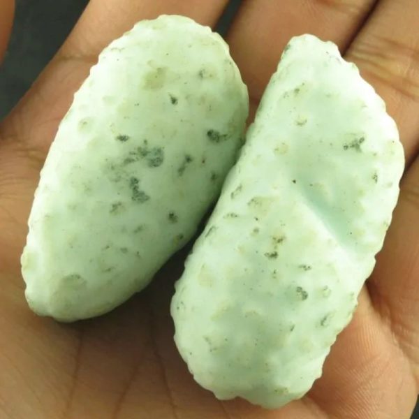 Crocodile Pearl - Type P (White Crocodile)