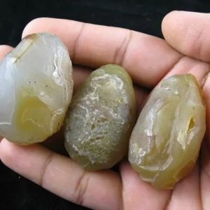 Crocodile Pearl - Type G