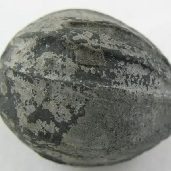 Crocodile Pearl - Type A2 (Black Crocodile)