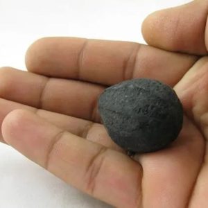 Crocodile Pearl - Type A1 (Black Crocodile)