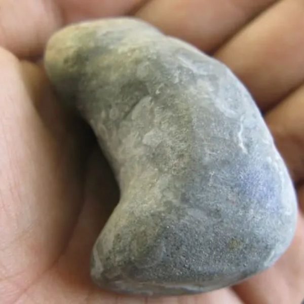 Orangutan Pearl - Type C1