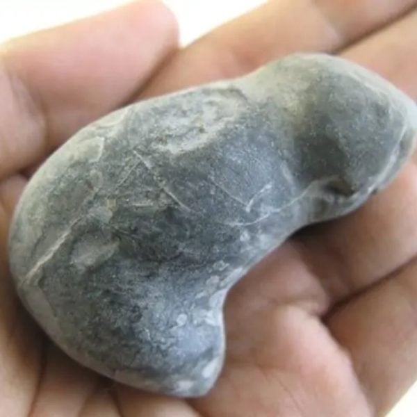 Orangutan Pearl - Type C1