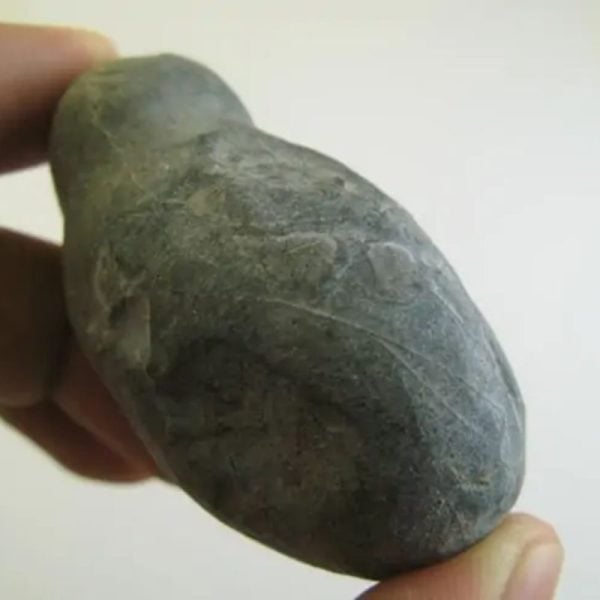 Orangutan Pearl - Type C1 - Image 3
