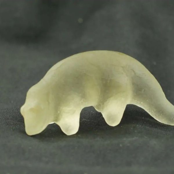 Fossilized Weasel Pearl - Type A19