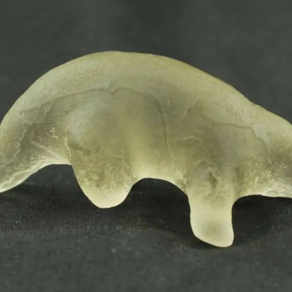 Fossilized Weasel Pearl - Type A19 - Image 2