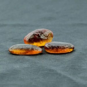 Honey Pearls - Type P Done
