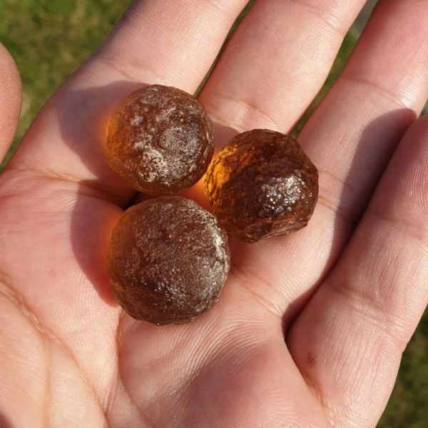 Honey Pearls - Type A Done