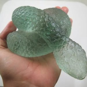 Snake Fossil - SF 65 (Crystal)