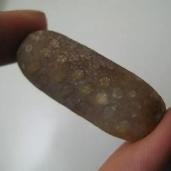 HadanganWoodPearl-A1-B-Large-_1