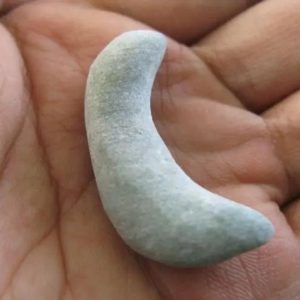 Gadung Snake Pearl - Type C1
