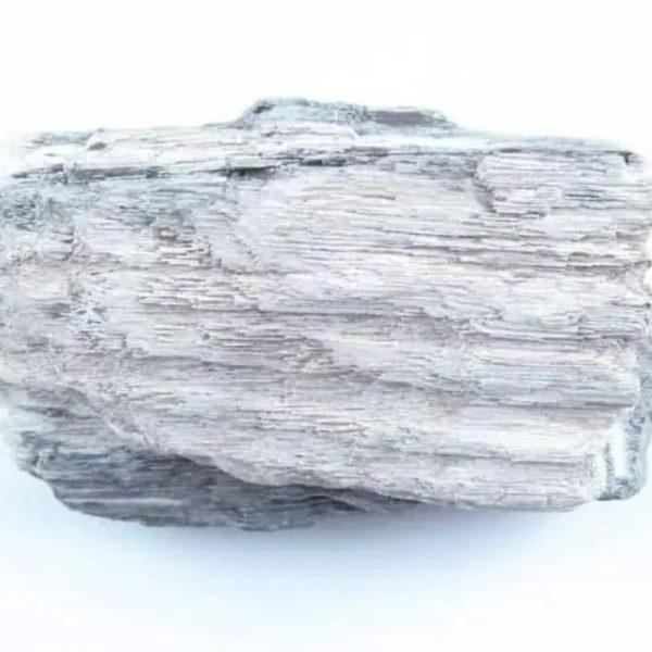 Menang Wood Fossil - Type A4 - Image 2