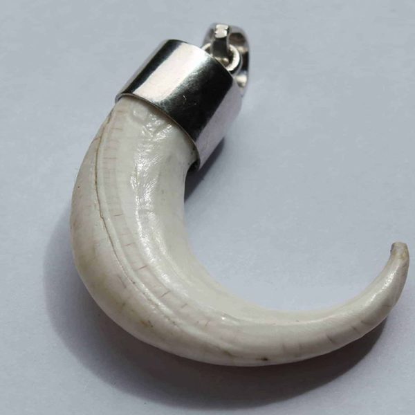 Orang Utan Claw - Image 3