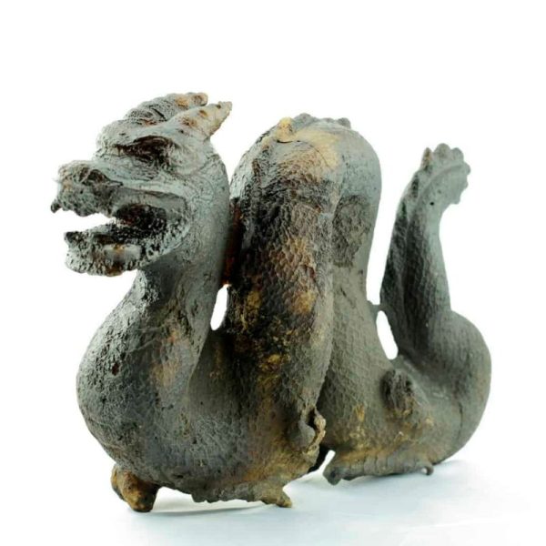 Fossilized Ancient Chinese Dragon - Image 3