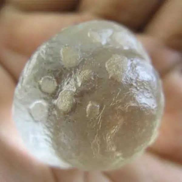 Snake Crown Pearl - Type I2 (Mist) - Image 2