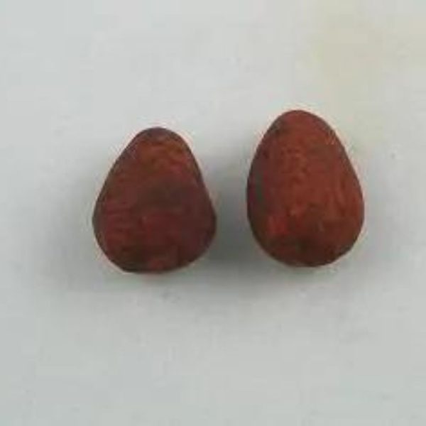 Raja Welang Snake Pearls -Type B2 - Image 2