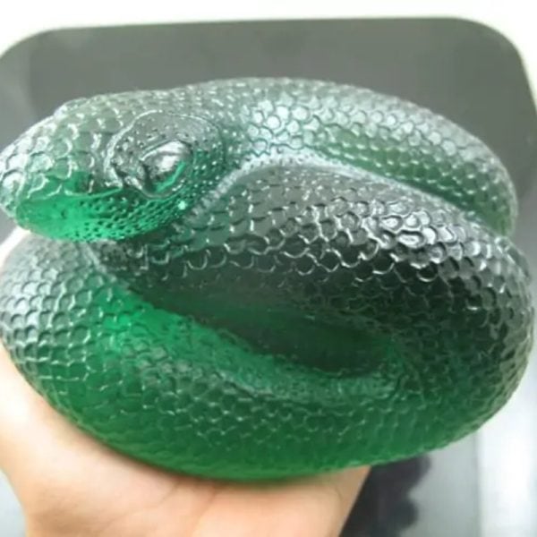 Snake Fossil - SF 67 (Crystal)
