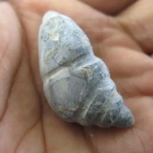 Selendang Snake Pearl - Type A4