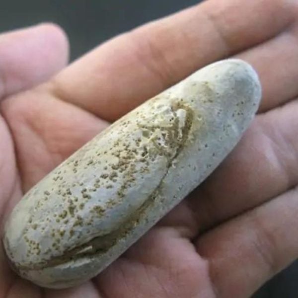 Selendang Snake Pearl - Type A3