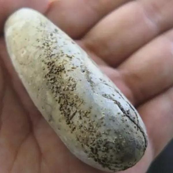 Selendang Snake Pearl - Type A3 In Hand