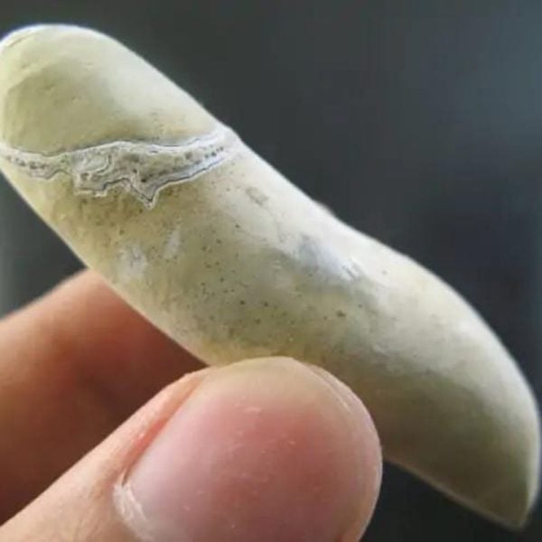 Selendang Snake Pearl - Type A1 - Image 3