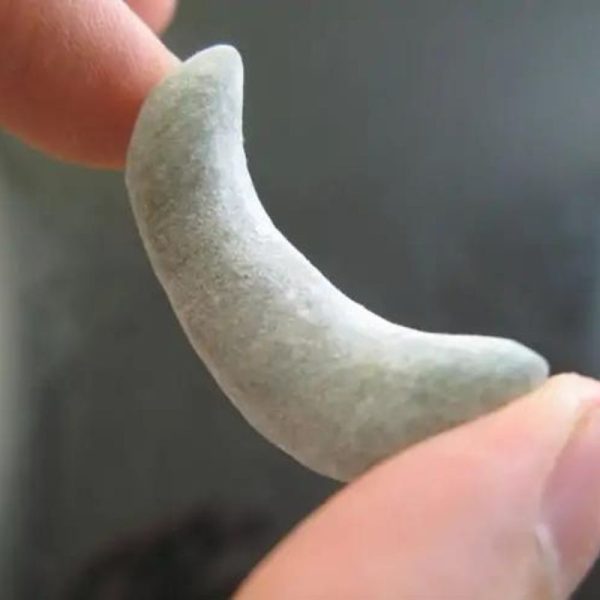 Gadung Snake Pearl - Type C1