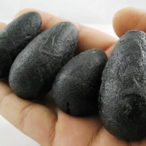 Smaller Black Cobra Pearl in hand