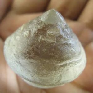 Snake Crown Pearl - Type I2 (Mist)