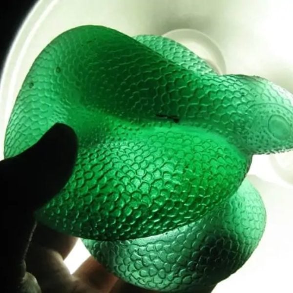 Snake Fossil - SF 67 (Crystal)