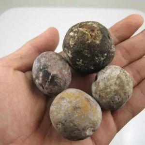 Giant Kadut Snake Pearl - Type A1