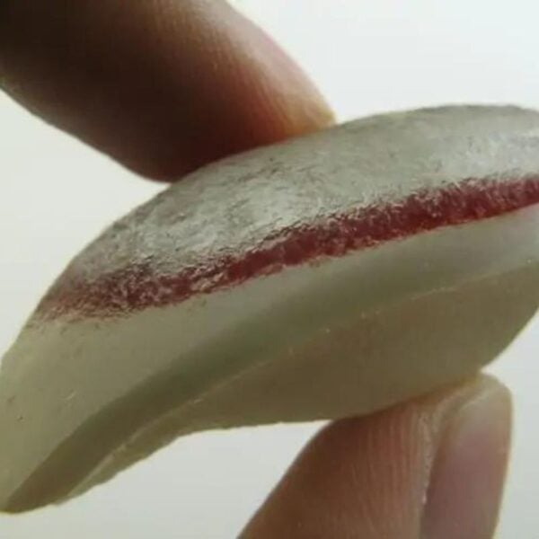 Red Cobra Pearl - Type F2 between fingers