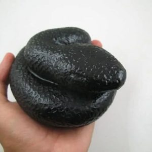 Snake Fossil - SF 43