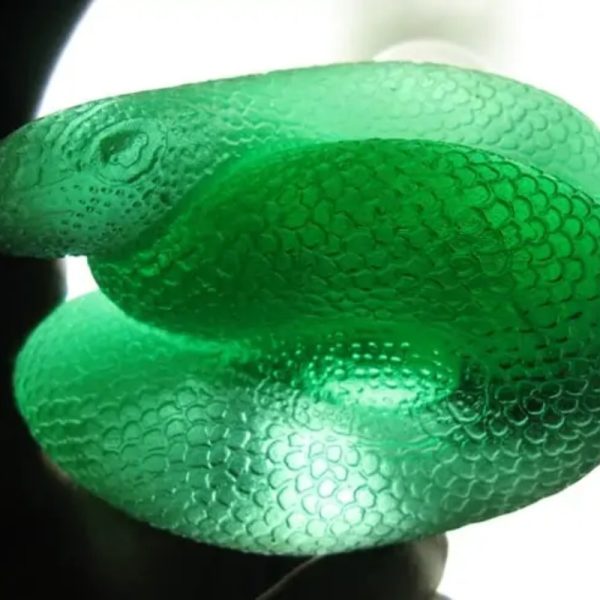 Snake Fossil - SF 67 (Crystal)