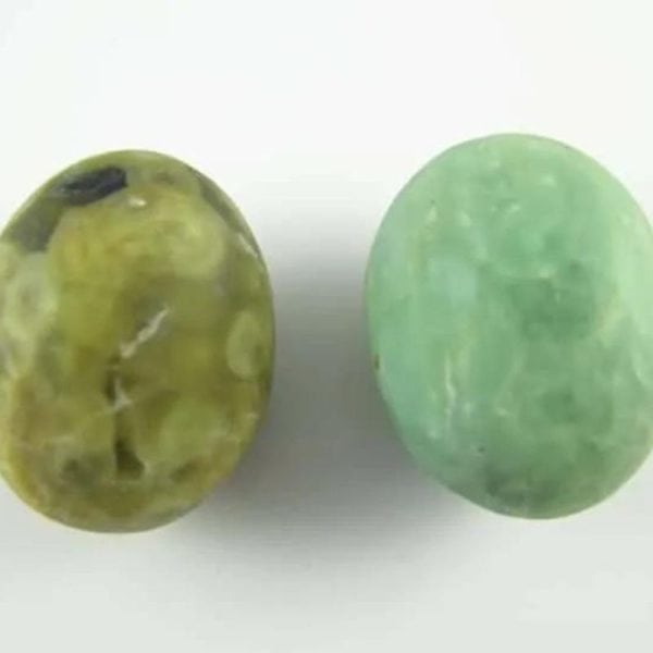 Beautiful Python Snake Pearl – Type I