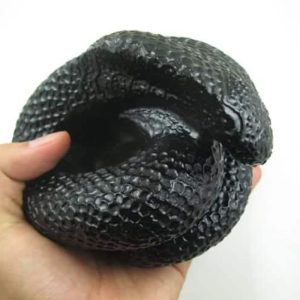 Snake Fossil - SF 44 (Crystal)