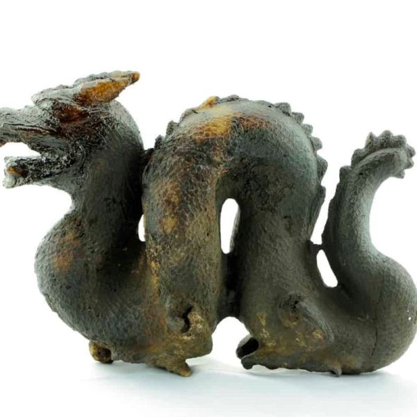 Fossilized Ancient Chinese Dragon - Image 4