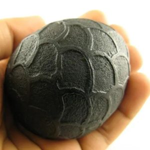 Sanca Madu Snake - Type C5 (Oval Medium)