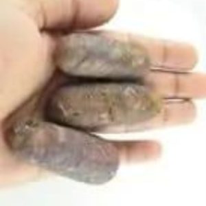 Sawo Kebang Snake Pearls - Type B2
