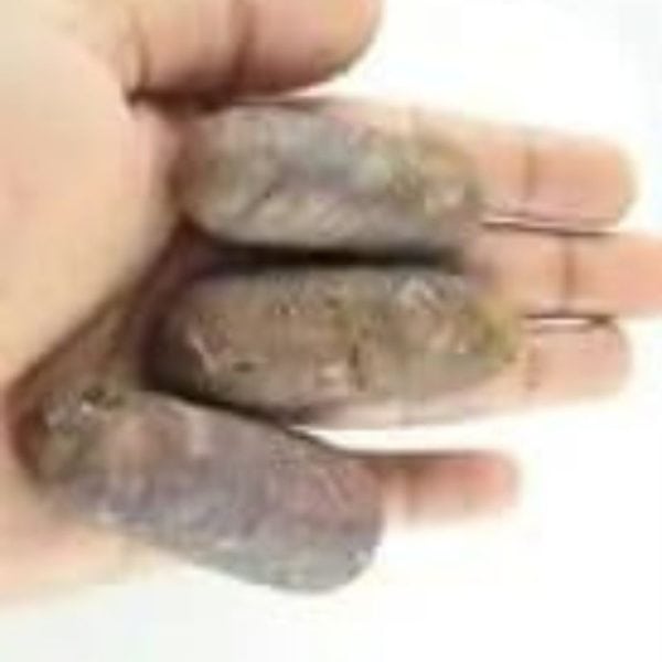 Sawo Kebang Snake Pearls - Type B2