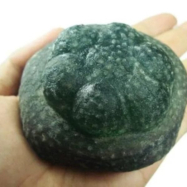 Naga Crown - Type D