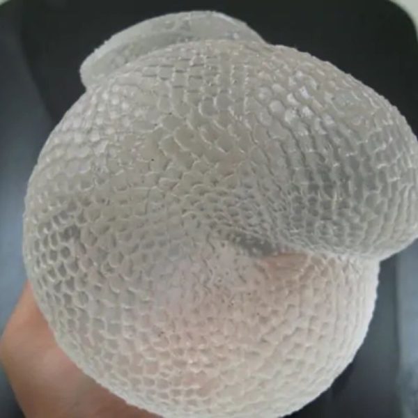 Snake Fossil - SF 72 (Crystal)